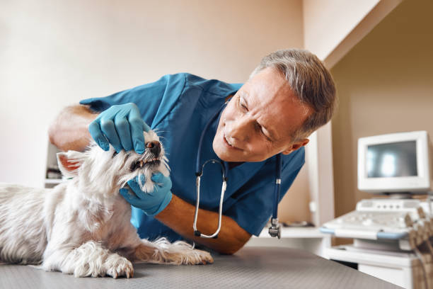 Best Emergency Root Canal Treatment in Madisonville, LA